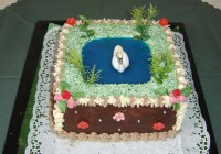 /album/narodeninove-torty/t17-jpg/