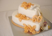 /album/narodeninove-torty/dsc00305-jpg/