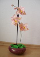 /album/netradicne-torty/dsc09770-jpg/