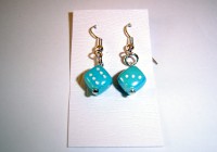 /album/nausnice1/dsc02037-jpg1/